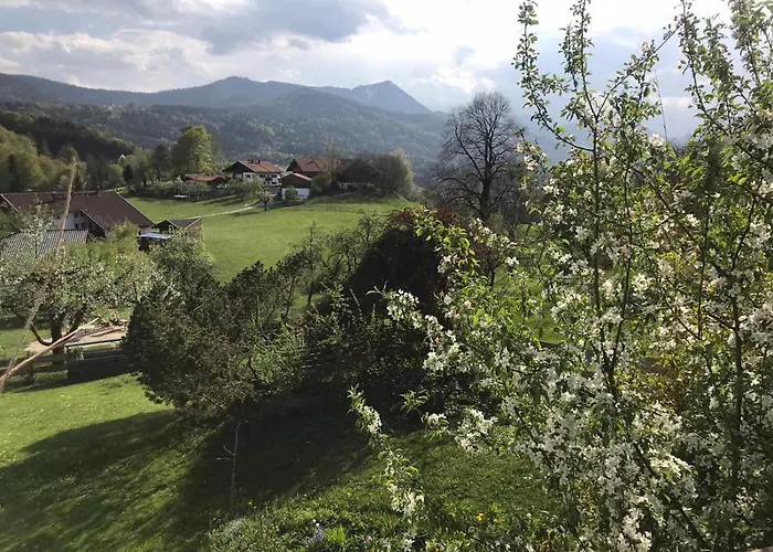 Entspannen Mit Bergpanorama